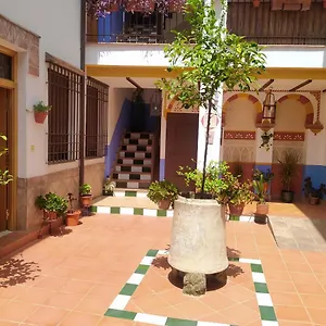 Appartement Patio De San Lorenzo Vft/co/00990 Espagne
